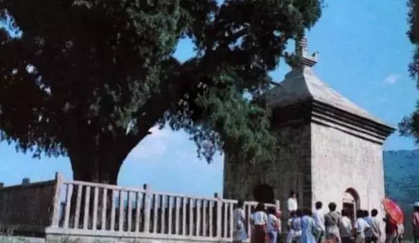 济南80后回忆,奋斗在济南的80后