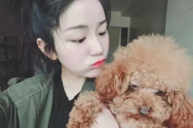 littletree品牌,littletrees推荐