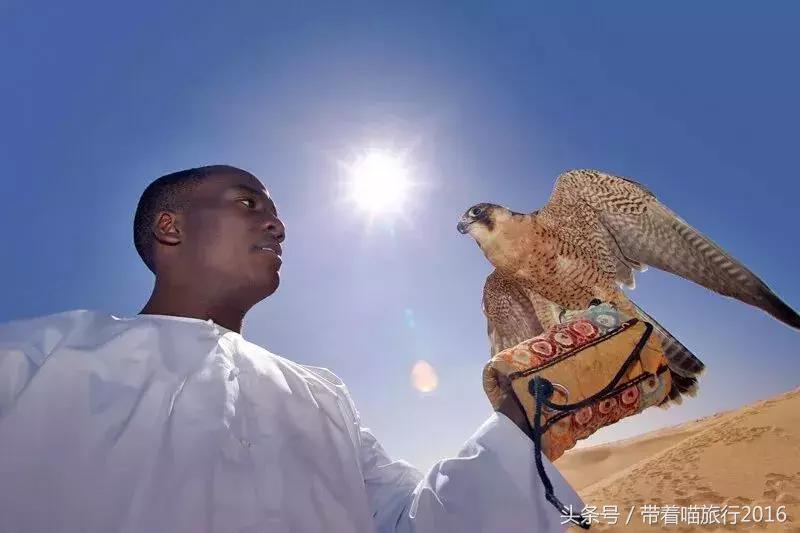 阿布扎比之行,阿布扎比四面八方