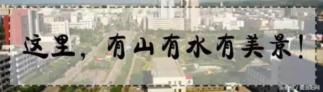 洛阳即将腾飞的县,2022年洛阳最发达的五个县