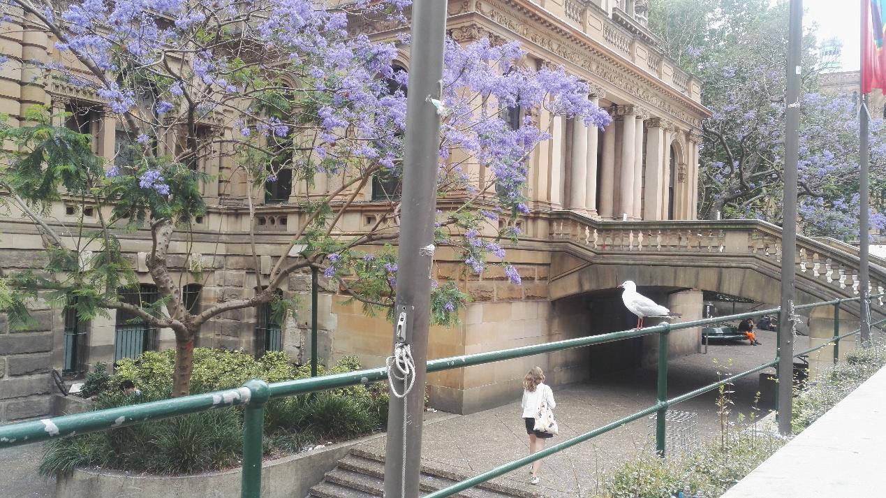 澳洲有哪些保健品值得购买,澳洲推荐的保健品