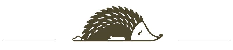 星巴克是星爸爸还是星妈妈,星爸爸和星巴克有关系么