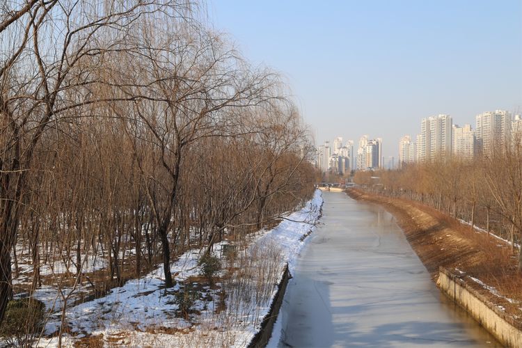 周一漫步隋唐植物园赏桃花,洛阳隋唐植物园春光