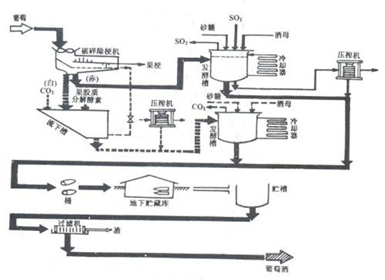 十张图教你成为葡萄酒行家,最完全详细的葡萄酒知识大全