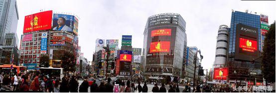 金龙鱼稻米油缺点,日本进口中国稻米油