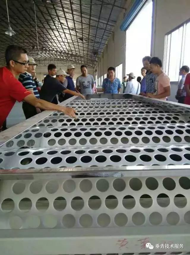 「热点」小户赚钱大户亏，为啥？省力化栽培是柑桔发展的趋势！