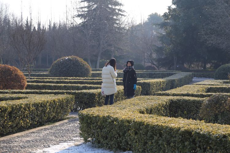 周一漫步隋唐植物园赏桃花,洛阳隋唐植物园春光