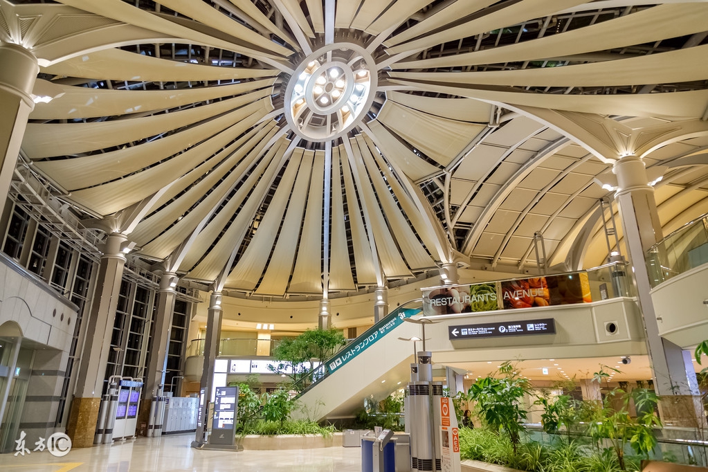 日本购物攻略必买清单,去日本购物必买的五种东西