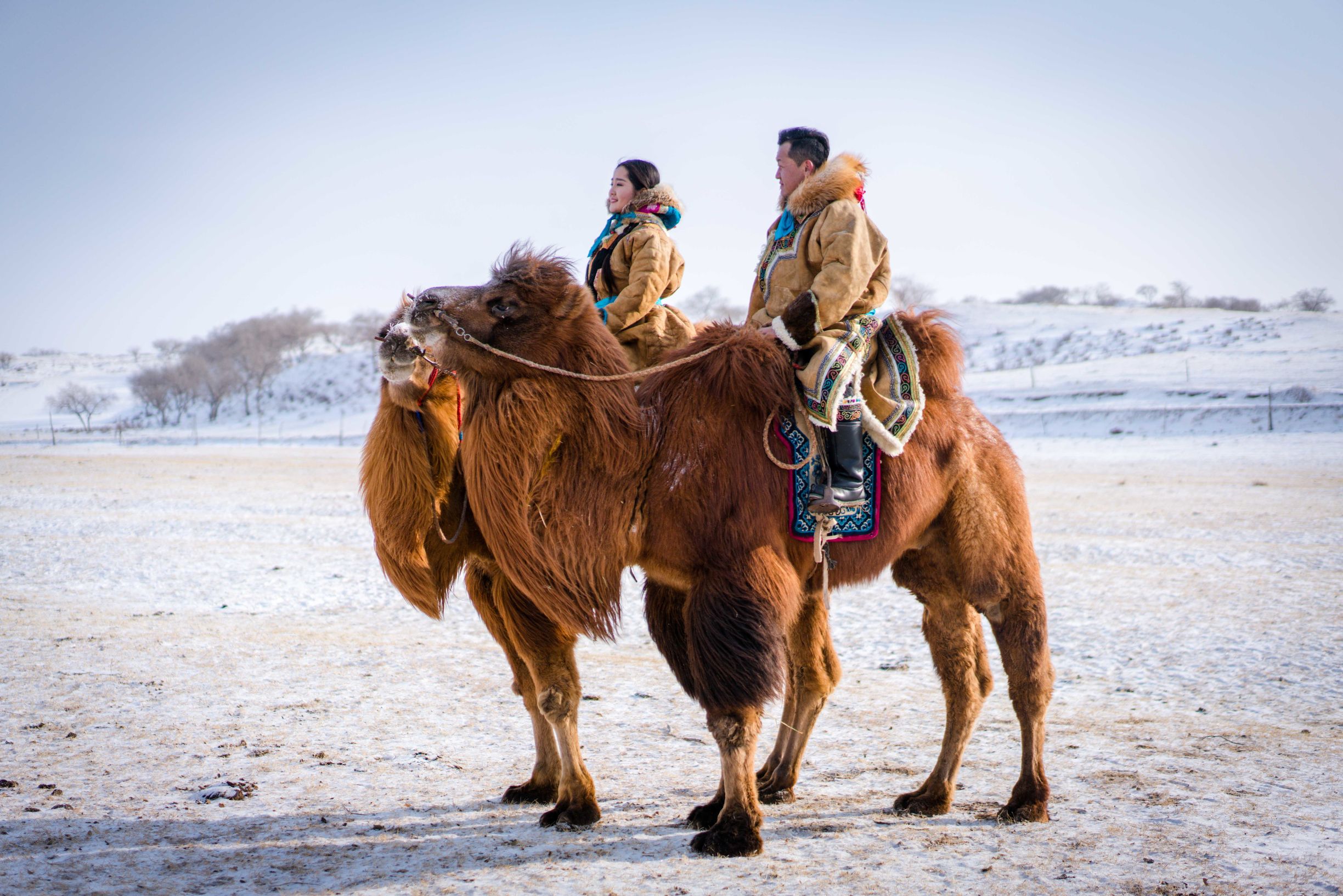 冰雪那达慕大会,冰雪那达慕完全版开幕式