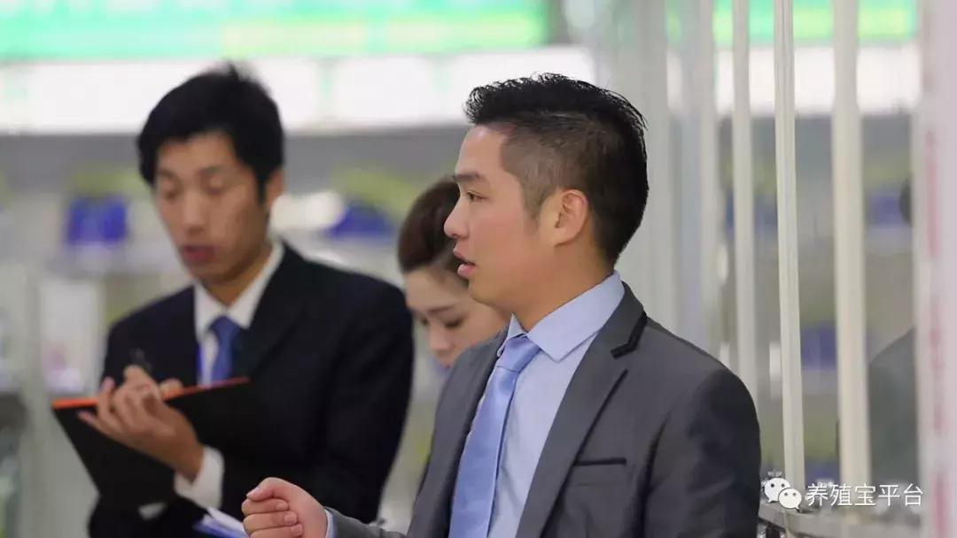 旭牧通创业,旭牧通2020年