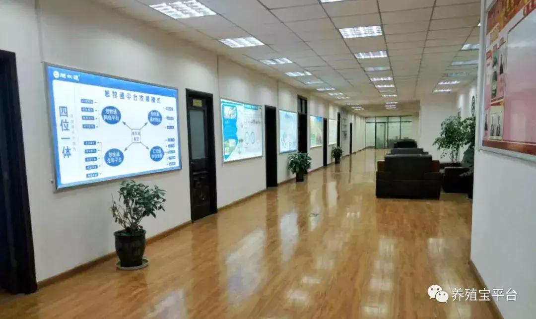 旭牧通创业,旭牧通2020年