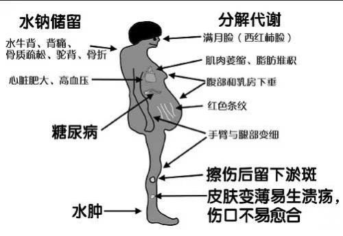 长期使用激素药物自己能够恢复吗,肾上腺皮质激素长期使用