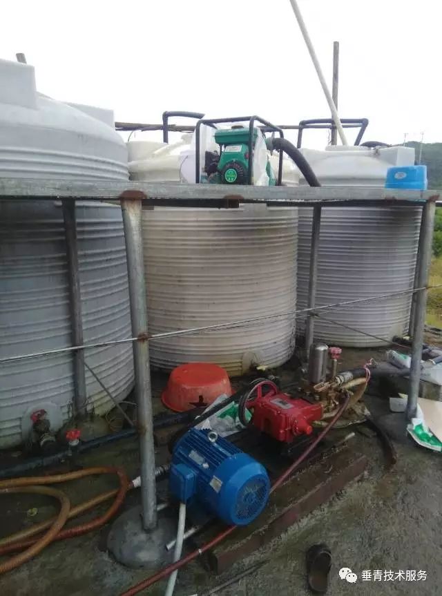 「热点」小户赚钱大户亏，为啥？省力化栽培是柑桔发展的趋势！