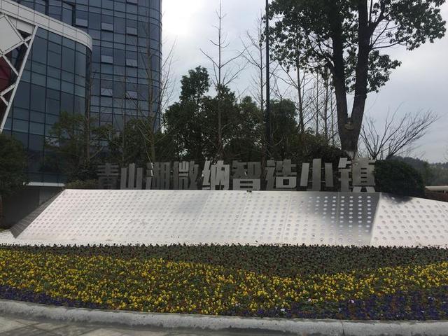 这个小镇有点强汇聚项目有望填补国内芯片产业空白