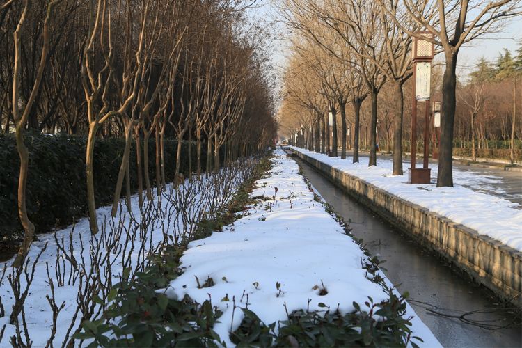 周一漫步隋唐植物园赏桃花,洛阳隋唐植物园春光