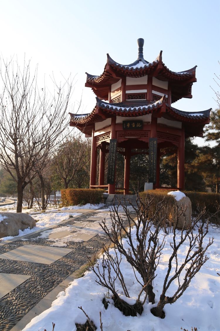 周一漫步隋唐植物园赏桃花,洛阳隋唐植物园春光