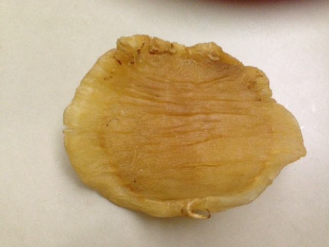 鱼胶为什么会发霉生虫,鱼胶发霉了能不能晒太阳