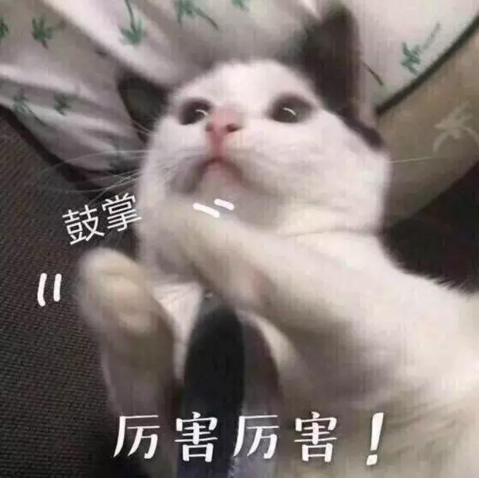 十大最强的血型排名,2020星座血型属相排名