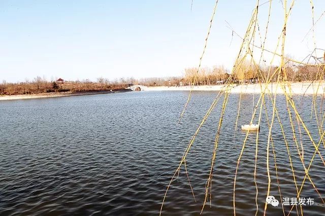 番田镇：深谋实干行稳致远