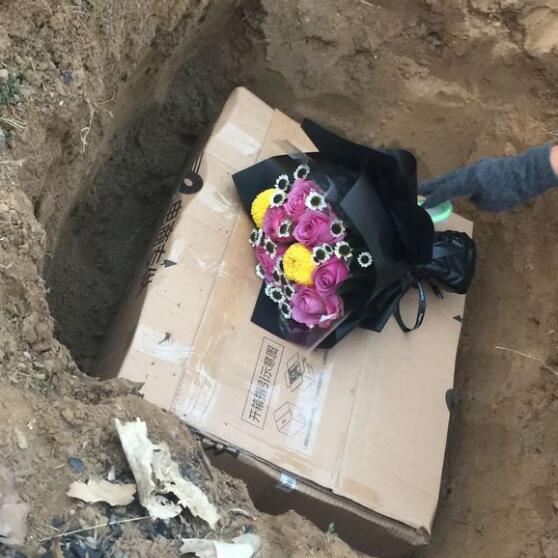 才出生小狗被咬死,出生的小狗被虐待