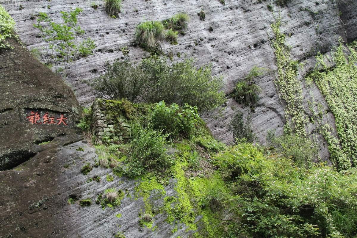 美媒评选的十大奢侈品,比黄金还贵的硬通货