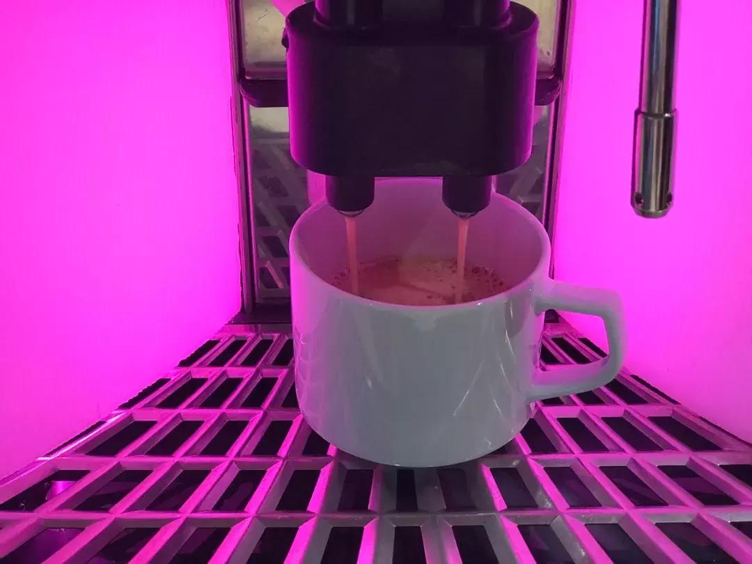 邮轮出国游量子号攻略,不用签证去日本