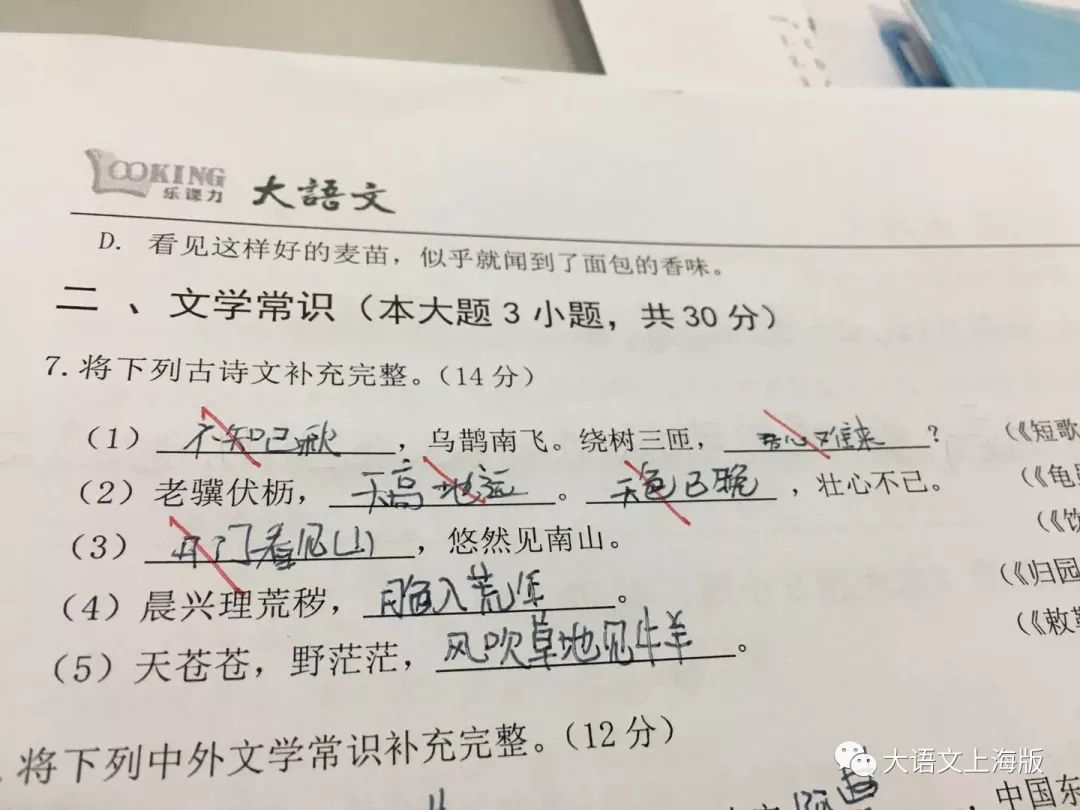 错别字大王,错别字大王暑期计划