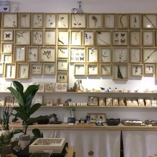 成都文艺惊艳的地方,成都最有文艺气息