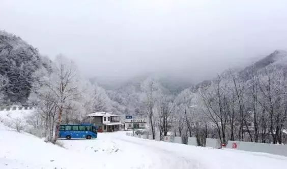 寒气席卷、叶汽成霜……陕西6处大美雾凇奇景上线！