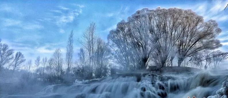 寒气席卷、叶汽成霜……陕西6处大美雾凇奇景上线！