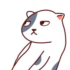 导师面试的奇葩问题,你面试的时候遇到过哪些奇葩事