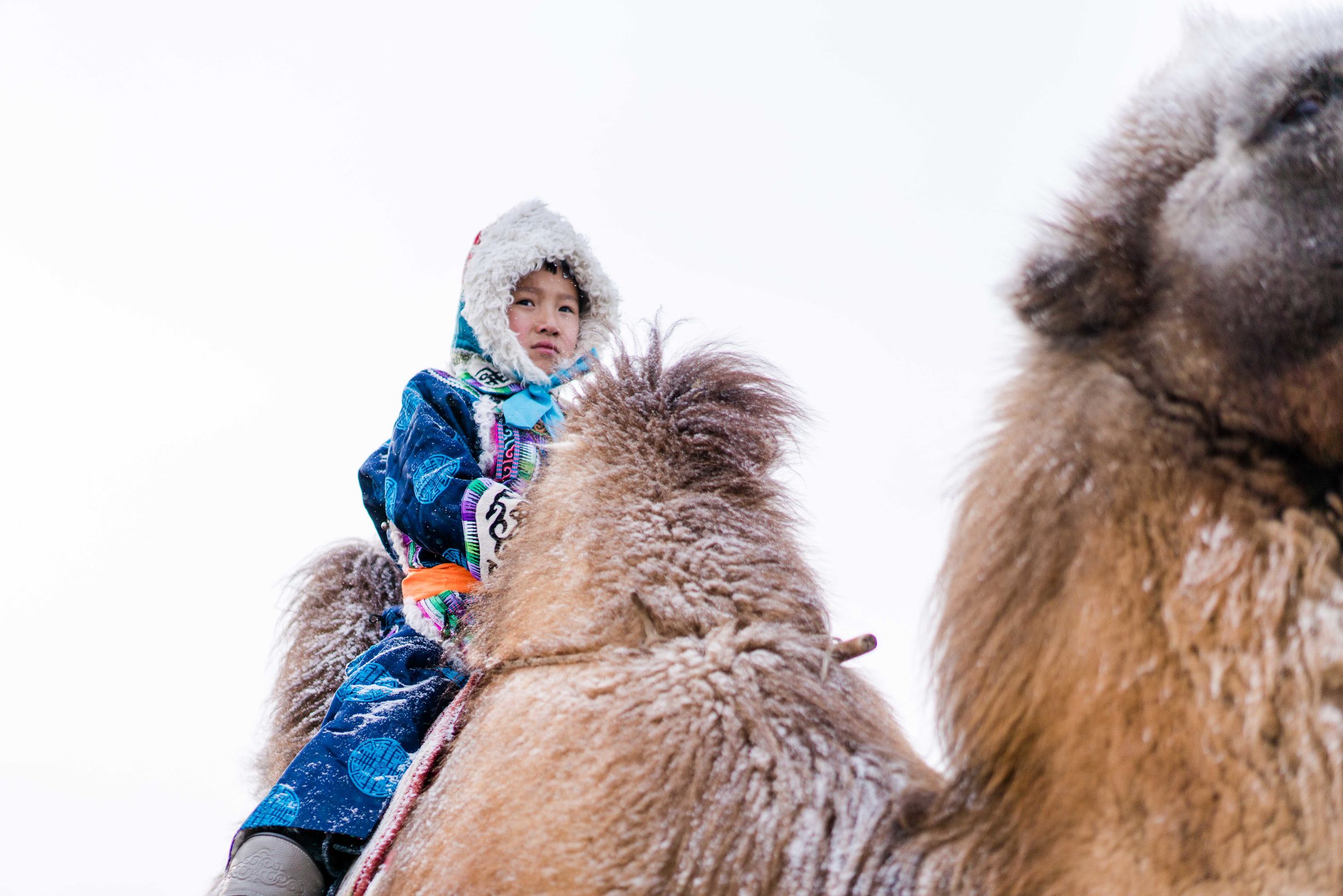 冰雪那达慕大会,冰雪那达慕完全版开幕式