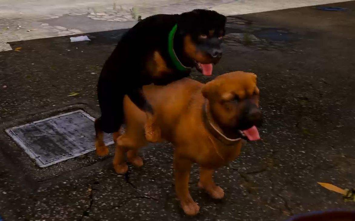 侠盗猎车手6数字秘籍,侠盗猎车手6出来了么