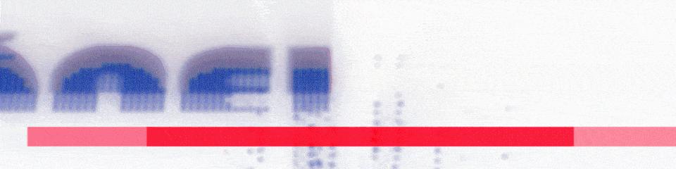 nike专卖店能够投诉吗,nike门店买到假鞋怎么赔付