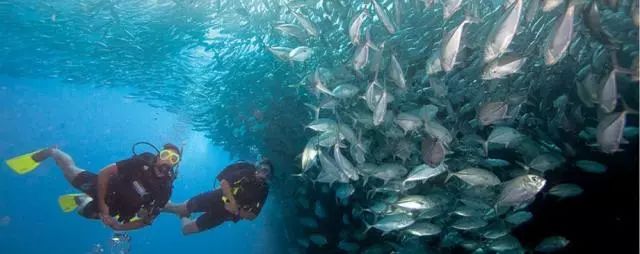 马尔代夫卓美亚德瓦纳芙希岛,马尔代夫卓美亚德瓦纳