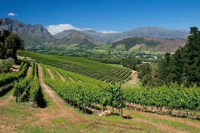 葡萄酒庄园旅游,葡萄酒之乡旅游攻略