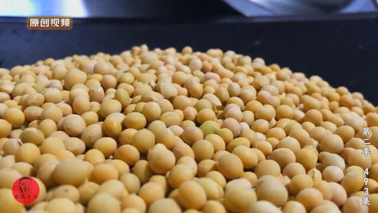 农民王小老妈美食,农民王小老妈给全家做饭