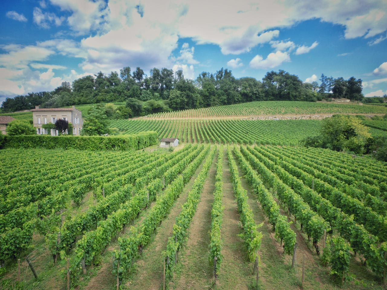 cestlavie南宁店,漫步法国葡萄酒之旅