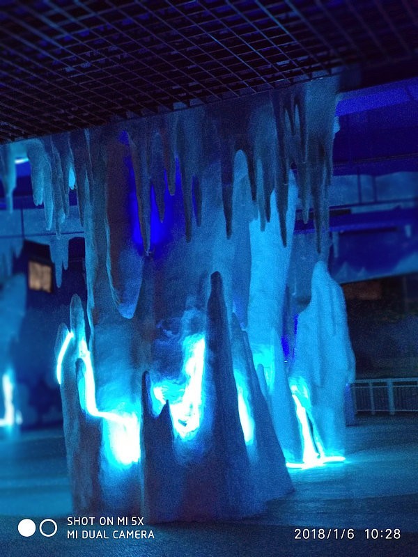 自驾安徽行13天——第一篇开封东京极地海洋馆