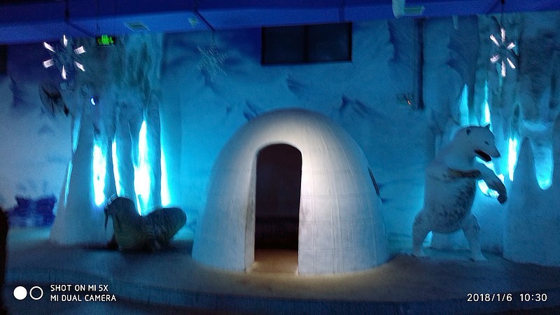 自驾安徽行13天——第一篇开封东京极地海洋馆