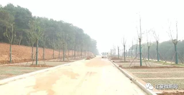 你好，我是江夏！这是我2017年的成绩单，请查收！