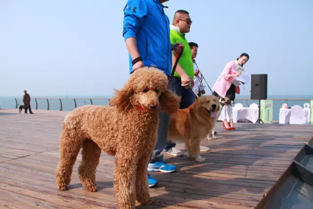 鏉ヨ繖閲屾劅鍙楃儫鐏皵鍜屽褰╀笉澶滃煄,鏉ヨ繖閲屼綋楠屼笘澶栨婧愮殑鎰熻