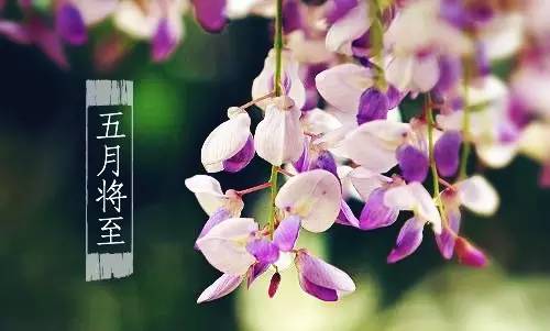 最近深圳市有哪些新闻,深圳今日新闻热点