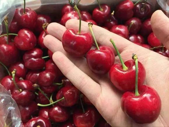 代购日子不好过了！新西兰批发商将在中国开超百家直销店，能够在家门口买纯正NZ特产啦。