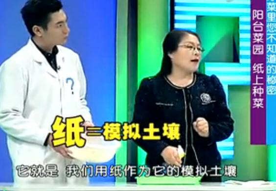 纸上种菜能够种向日葵吗,种菜小窍门两张纸就搞定