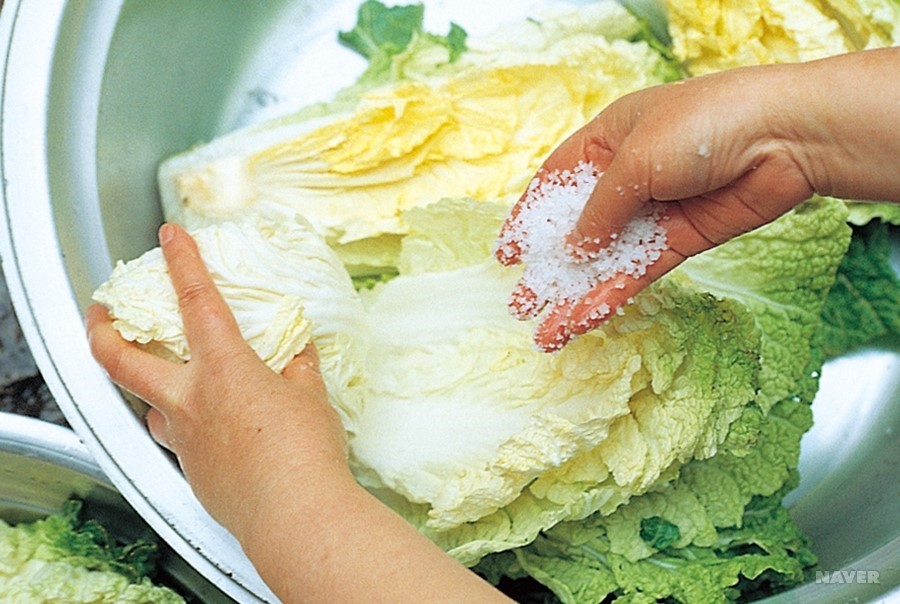 正宗韩式泡菜炒五花肉,用韩式泡菜酱做萝卜正宗做法