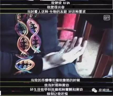 金星为何撕萨顶顶,金星和萨顶顶完全版