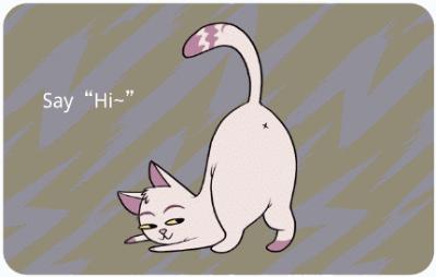 新手养猫指南铲屎官必看,铲屎官需要知道45条养猫知识科普