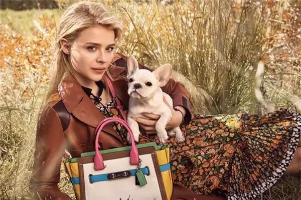 coach包必买经典款,coach包网红爆款轻奢时尚逛街必备