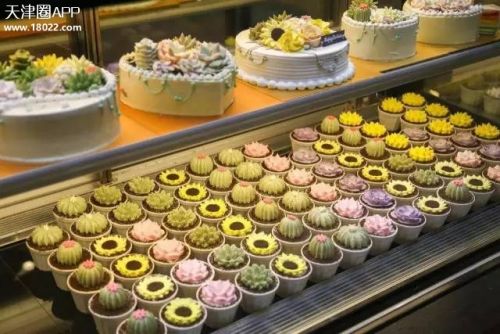 天津塘沽好吃的甜品店,天津甜品店排名前十名